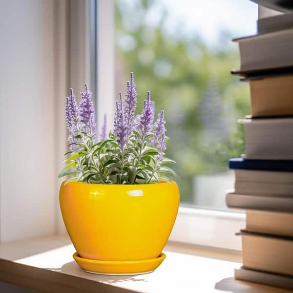 Yellow Ceramic Indoor/Outdoor Planter with Saucer (6.3 in. W x 4.4