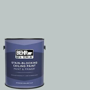 1 gal. #PPU12-10 Misty Morn Ceiling Flat Interior Paint & Primer