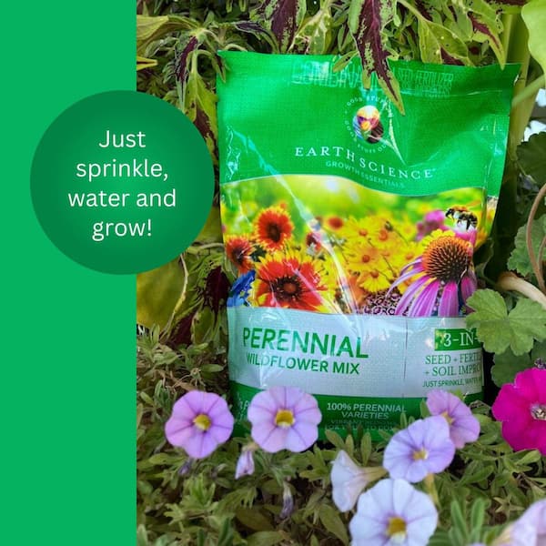 lilium flower seeds Heirloom Lilium Flower Seeds, Non-GMO Elegant Lily Blooms for Garden P –  Neeraseeds