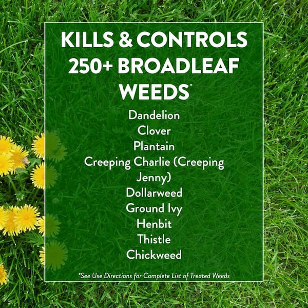 Weed Control Needed Early to Beat Weeds - Virginia Green