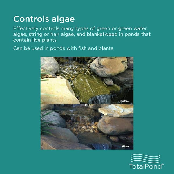 TOTALPOND - 16 oz. Algaecide for Ponds and Fountains