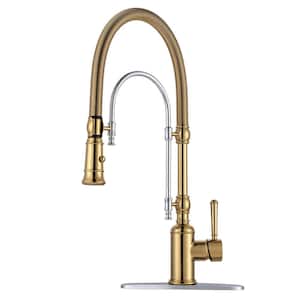 Single Handle Pull Out Sprayer Kitchen Faucet Deck Plate Included in Brass