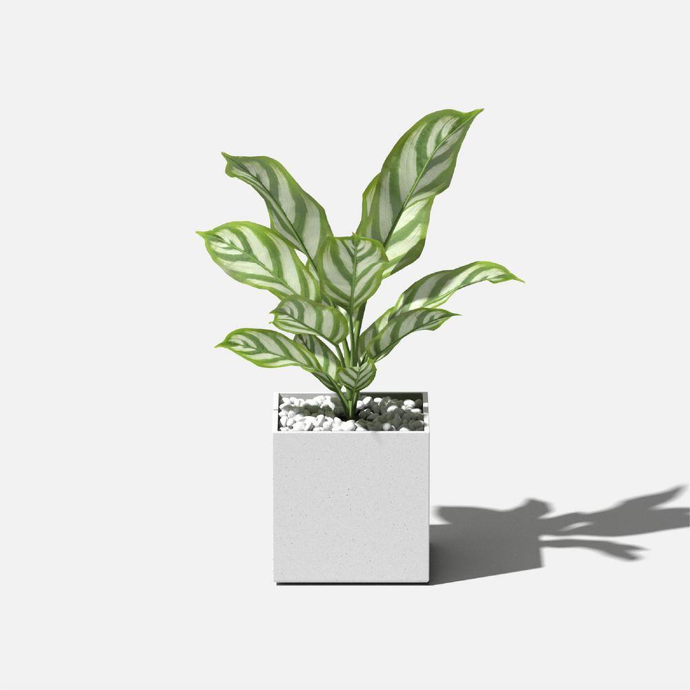Compact 5'' Geo Cube Planter in Black and White, UV-Resistant