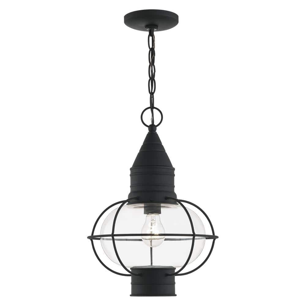 Hennington 16.75 in. 1-Light Black Dimmable Outdoor Pendant Light with Clear Glass and No Bulbs Included price history on PriceWatchPro