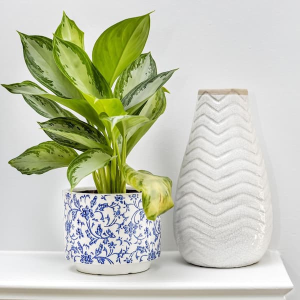 Vigoro 6 in. Ophelia Small Blue and White Porcelain Pot (6 in. D x