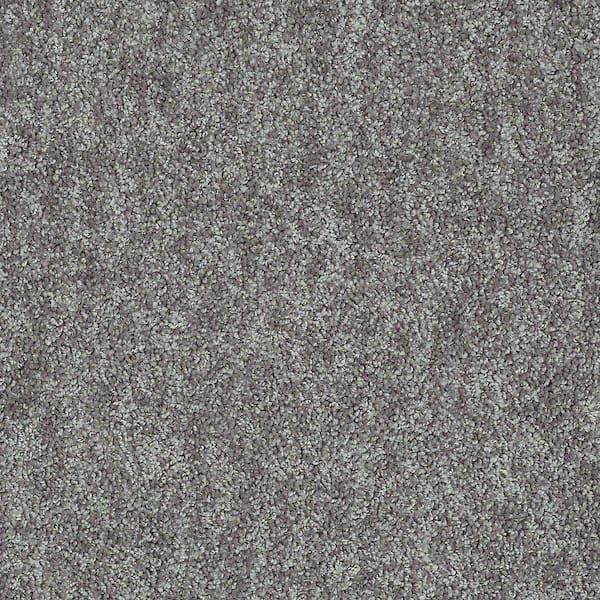 TrafficMaster Willow - Grey  - 12 ft. Wide x Cut to Length 14 oz. Polyester Texture Carpet