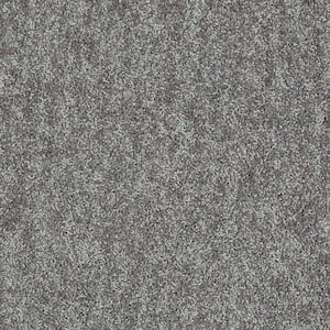 8 in. x 8 in. Texture Carpet Sample - Willow - Color Grey