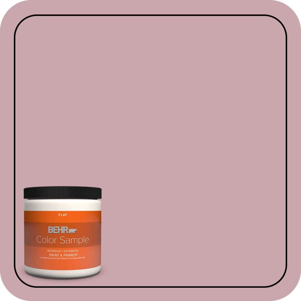 8 oz. #MQ1-04 Dutchess Dawn Flat Interior/Exterior Paint & Primer Color Sample price history on PriceWatchPro