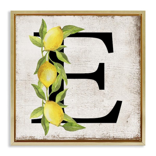 Stupell Industries E with Lemon Letter by Creatif Belle Gold Floater Frame Food Graphic Art Print 25 in. x 25 in.