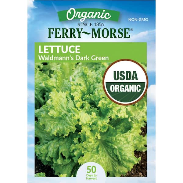 Organic Lettuce Waldmann's Dark Green Vegetable Seed