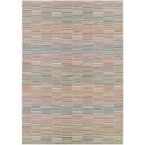 Cape Fayston Multi 7 ft. x 10 ft. Indoor/Outdoor Area Rug