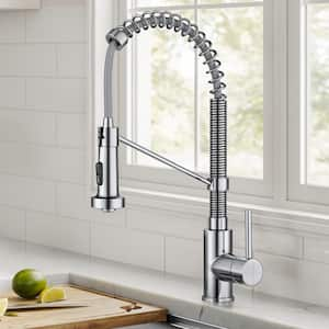 Bolden Single-Handle Pull-Down Sprayer Kitchen Faucet with Dual Function Spray Head in Chrome