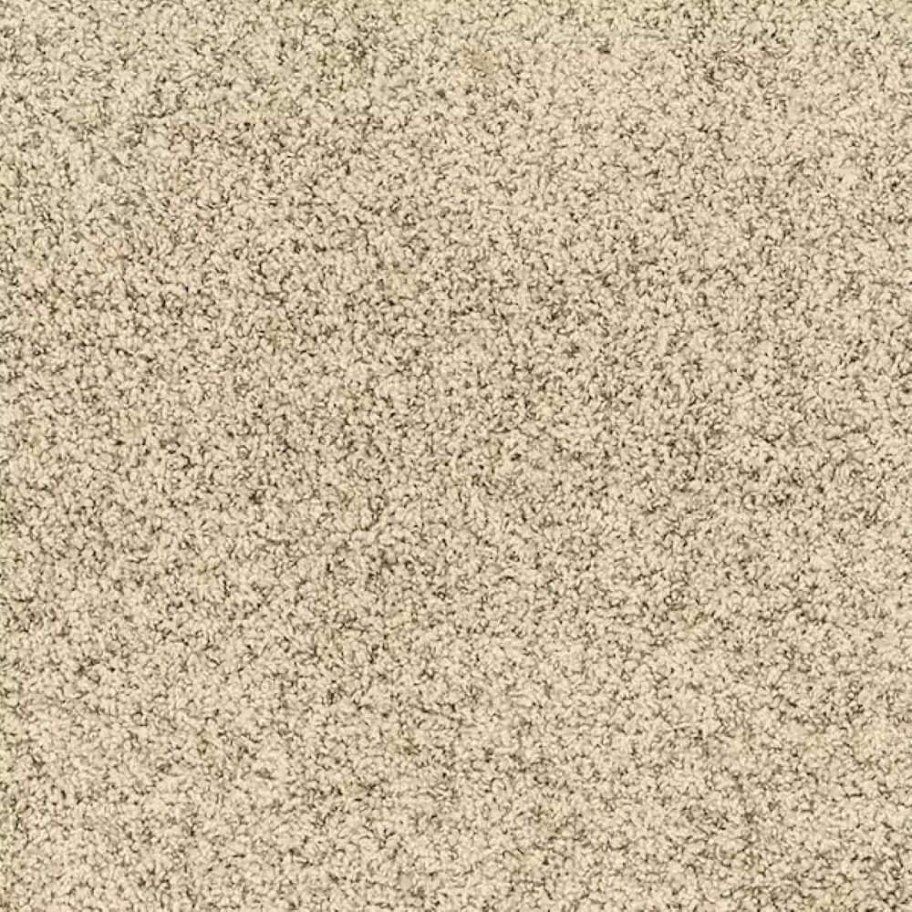 8 in. x 8 in. Texture Carpet Sample - Urban Cozy - Color Azure price history on PriceWatchPro