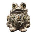Toad Hollow 9 in. H Large Tall Toad Whimsical Home and Garden Statue
