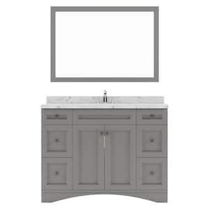 Elise 48 in. W x 22 in. D x 37 in. H Single Sink Bath Vanity in Gray with Quartz Top and Mirror