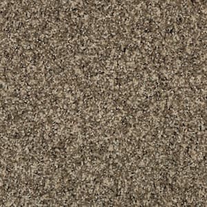 8 in. x 8 in. Texture Carpet Sample - Barx II -Color Neutral