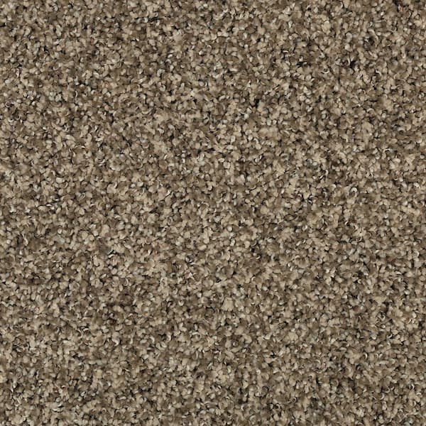 Lifeproof with Petproof Technology 8 in. x 8 in. Texture Carpet Sample - Barx II -Color Neutral