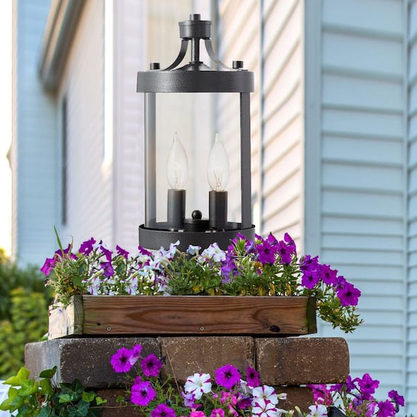 Glastonbury Caged 2-Light Aged Iron Outdoor Lamp Post Light Fixture with Clear Glass