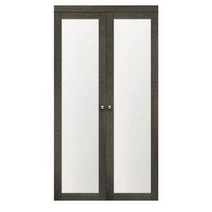 24 in x 80.25 in. Iron Age 1-Lite Tempered Frosted Glass MDFInterior French Door