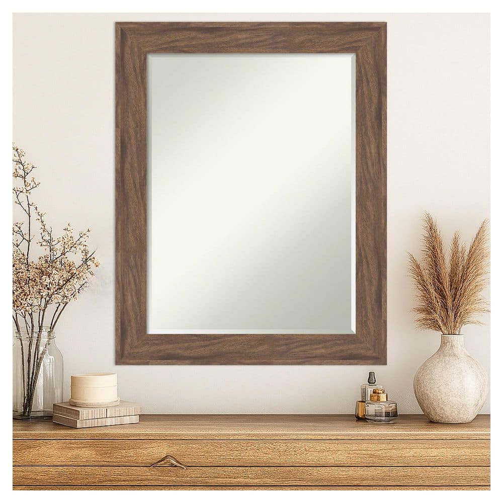 Pia Medium Brown 22.75 in. x 28.75 in. Petite Bevel Casual Rectangle Framed Wall Mirror price history on PriceWatchPro