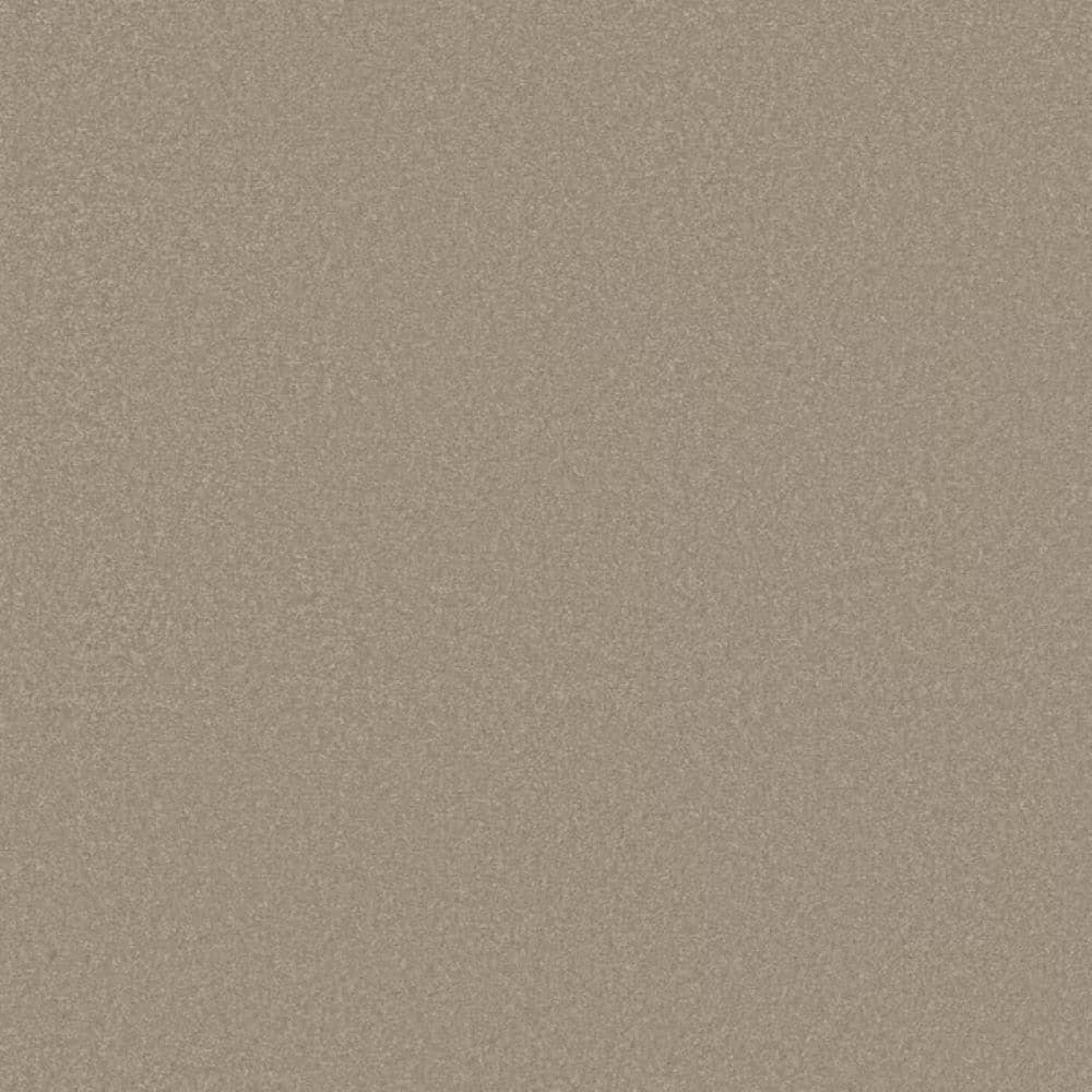 8 in. x 8 in. Texture Carpet Sample-Park Royal II-Color Beach Walk price history on PriceWatchPro