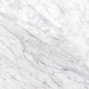 Carrara White 12 in. x 12 in. Honed Marble Stone Look Floor and Wall Tile (10 sq. ft./Case)