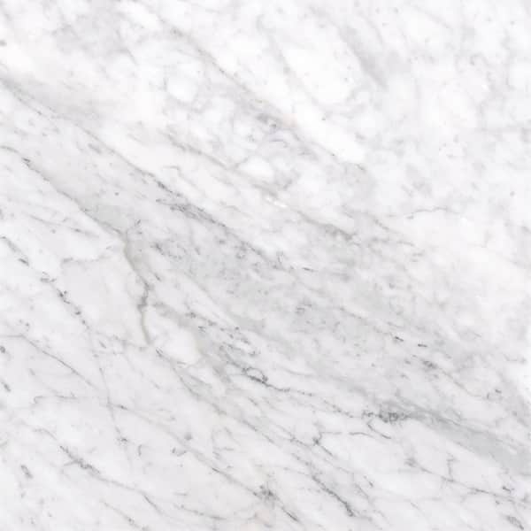 MSI Take Home Tile Sample - Carrara White 6 in. x 6 in. Honed Marble Floor and Wall Tile