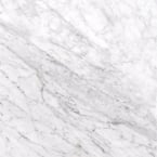 Carrara White 12 in. x 12 in. Polished Marble Floor and Wall Tile (10 sq. ft./Case)