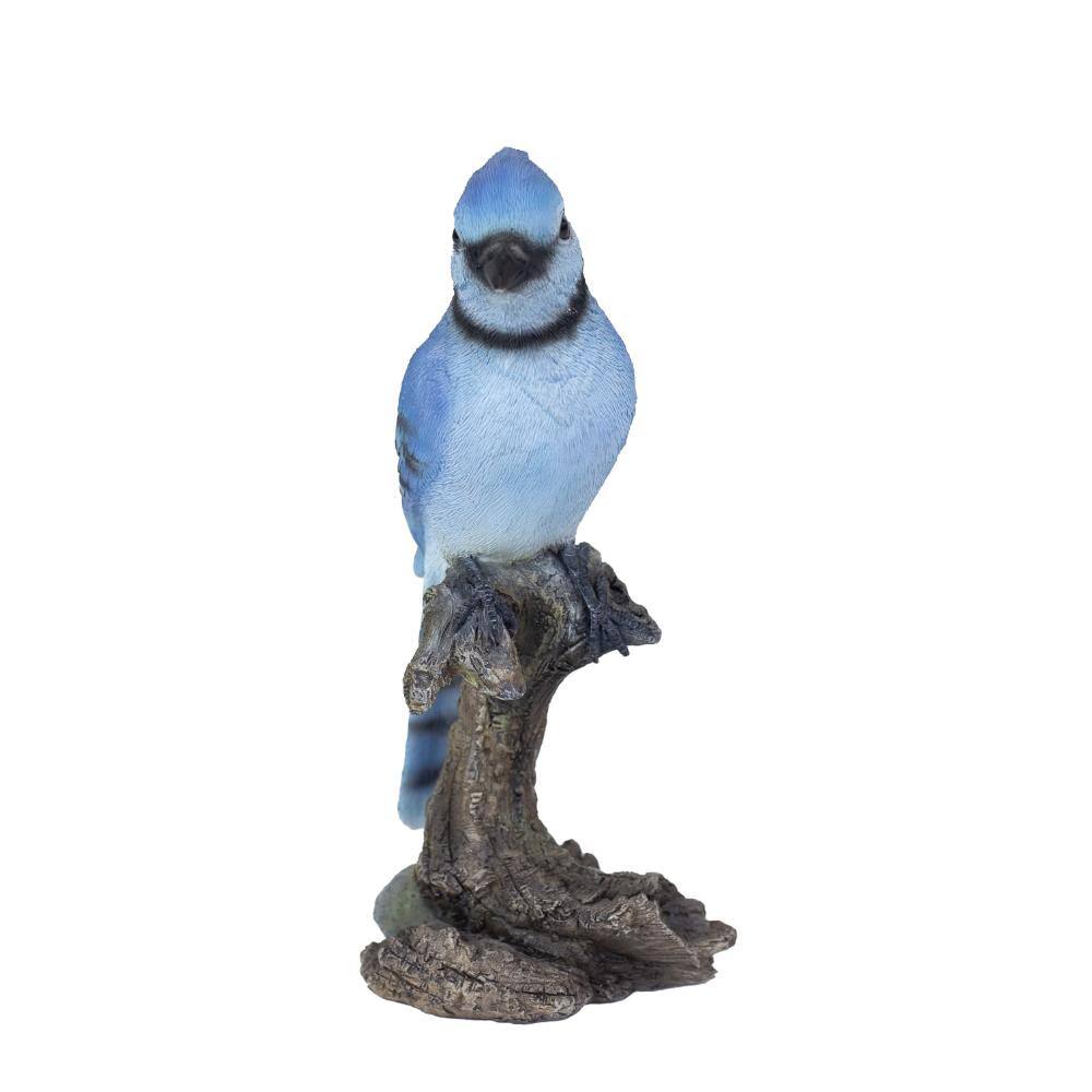 SoReal Blue Jay on stump price history on PriceWatchPro