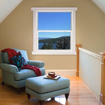 47 5 X 59 5 Single Hung Windows Windows The Home Depot