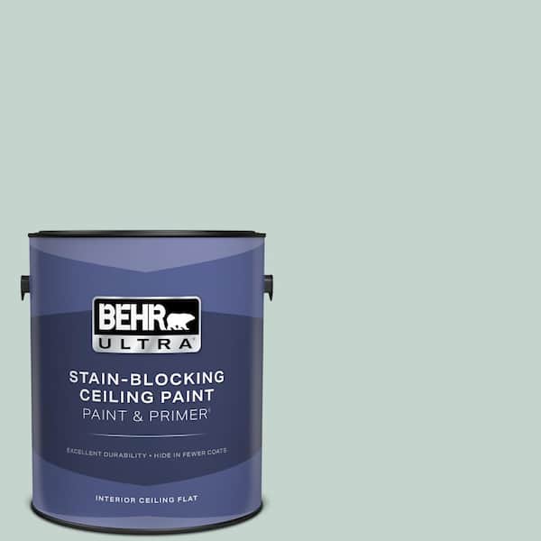 1 gal. #N430-2 Natures Reflection Ceiling Flat Interior Paint with Primer