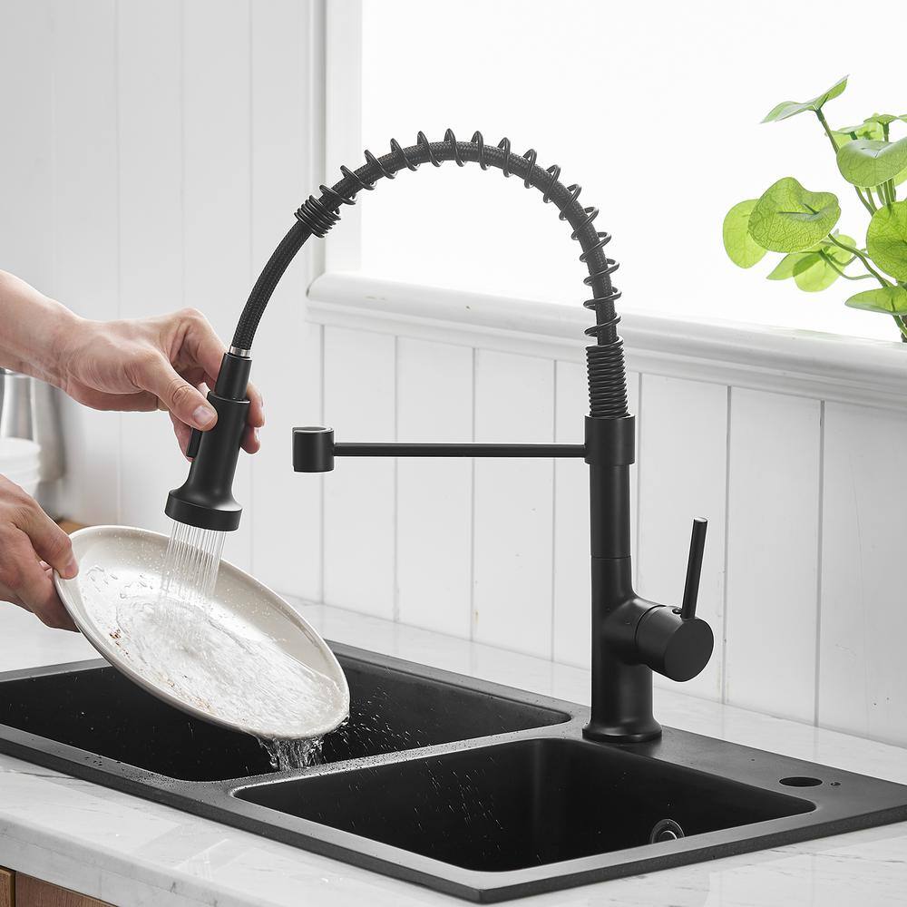 Matte Black Brass Single-Handle Pull-Down Kitchen Faucet