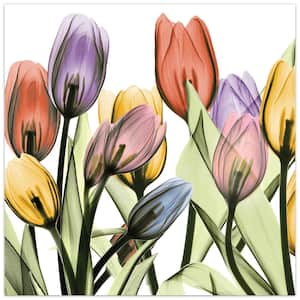 "Tulip Scape X-Ray I" Frameless Free Floating Tempered Glass Panel Graphic Wall Art