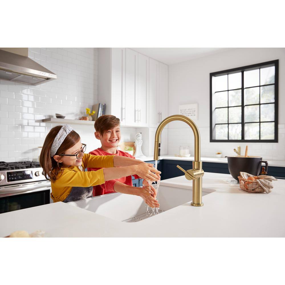 Sophisticated Moderne Brass Regular Kitchen Faucet with Pull-out Spray