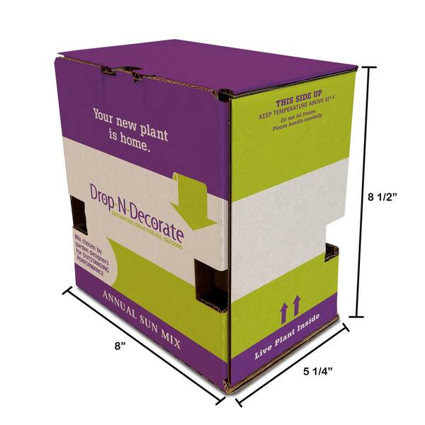 Unbranded - Drop N Decorate Plug-In Plant Petunia Mix Summer