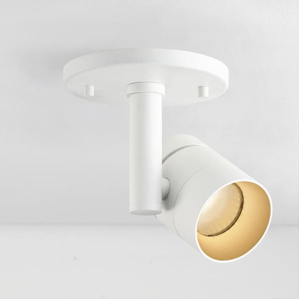 Parry Matte White Adjustable Spot Light, Integrated LED Bulb, Fixed Track Cylinder Spotlight, 3000k, 1370 Lumens