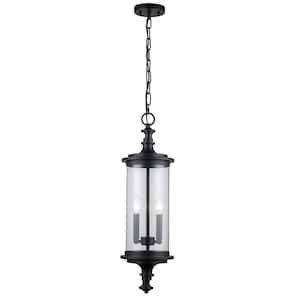 Path 26.5 in. 2-Light Black Outdoor Pendant Light Fixture with Clear Glass