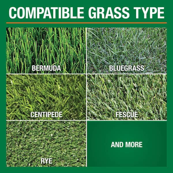 What Type of Fertilizer for Bermuda Grass: Ultimate Growth Guide