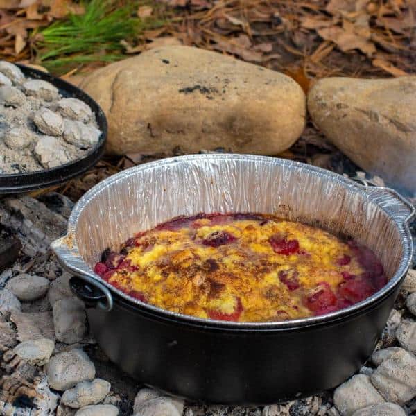 10” Disposable Dutch Oven Liners and More