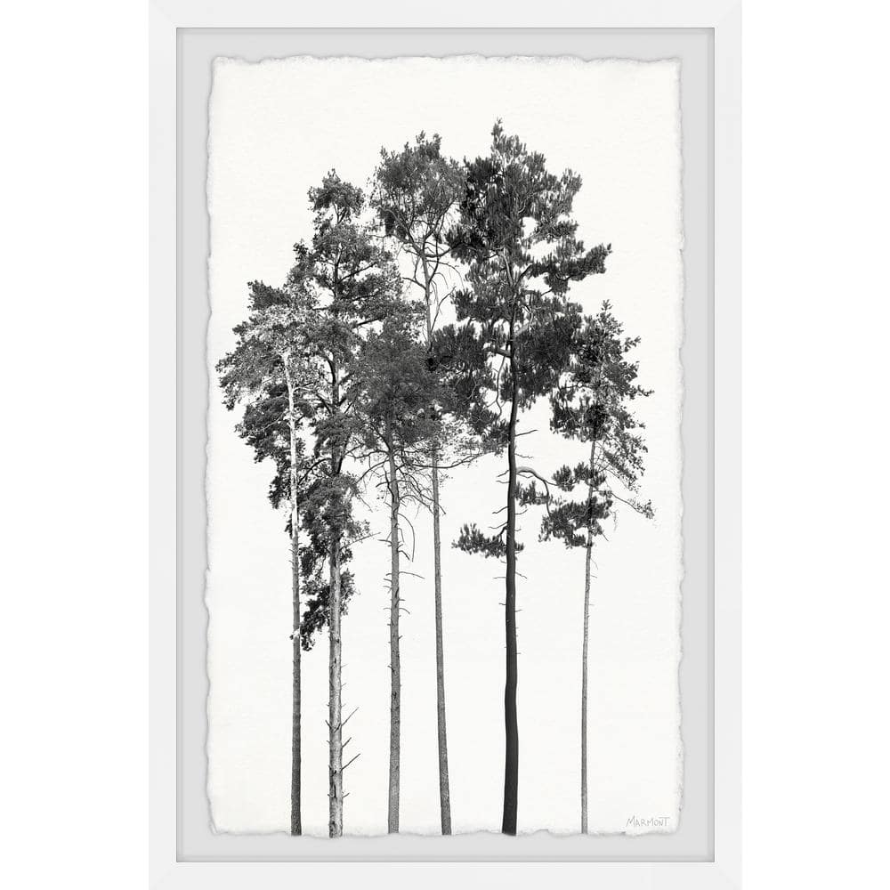 Statuesque Beauty by Marmont Hill Framed Nature Art Print 24 in. x 16 in.