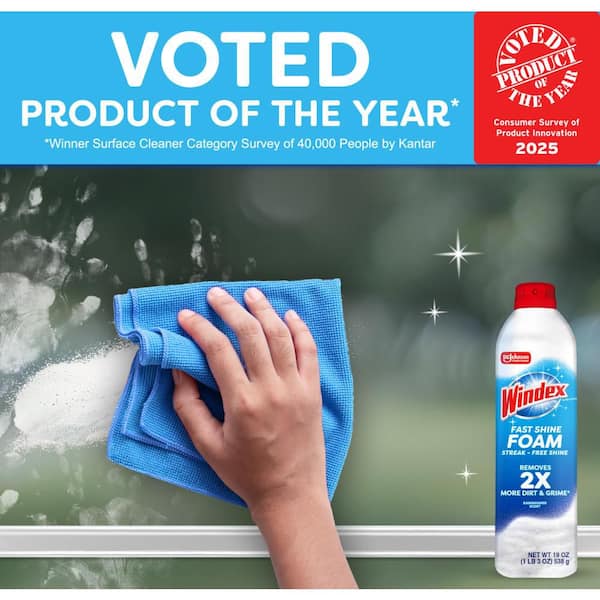 19 oz. Glass Cleaner Fast Shine Foam, Rainshower Scent