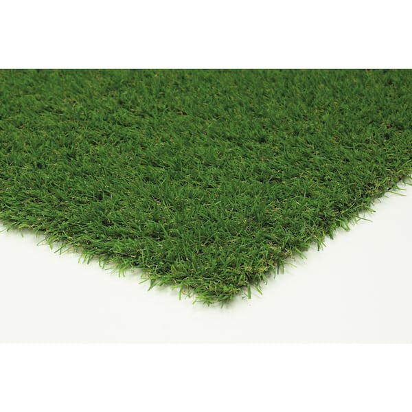 Nance Carpet and Rug Turf 6 ft. x 9 ft. Green Artificial Grass Rug