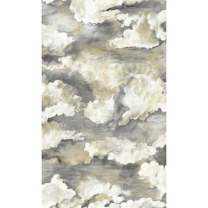 Charcoal Cloud Filled Sky Plain Print Non-Woven Non-Pasted Textured Wallpaper 57 Sq. Ft.