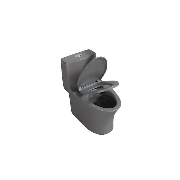 Unbranded 28.5 in. Gray 1.1/1.60 GPF Dual-Flush 1-Piece Toilet Water-Saving Elongated with Soft Closing Seat, 1000 Gram Map