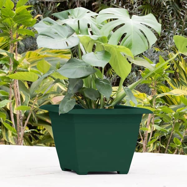 Dayton 15 in. Plastic Square Deck Box Planter, Turtle Green