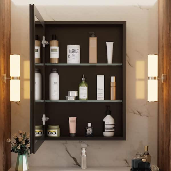 Moses 20 in. W x 28 in. H Rectangular Aluminum Medicine Cabinet with Mirror and Adjustable Shelves