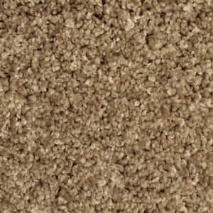 Home Decorators Collection 8 in. x 8 in. Texture Carpet Sample ...