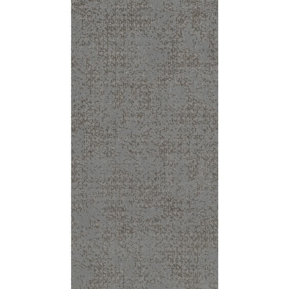 8 in. x 8 in. Pattern Carpet Sample - Elegant Dosinia - Color Academy price history on PriceWatchPro