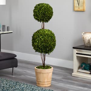 4 ft. Preserved Boxwood Double Ball Artificial Topiary Tree in Planter