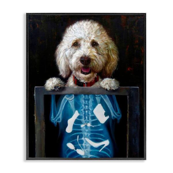 Stupell Industries Funny Dog X-Ray Snacks by Lucia Heffernan 1-Piece Black Framed Animal Giclee Art Print 30 in. x 24 in.